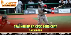 Cá cược Bóng chày Alo789