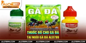 Thuốc bổ cho gà đá